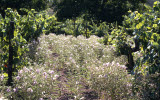 Select an image to enlarge