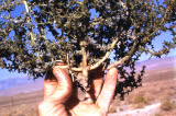 Select an image to enlarge