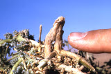 Select an image to enlarge