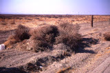 Select an image to enlarge
