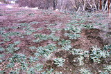 Select an image to enlarge