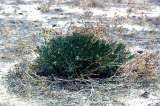 Select an image to enlarge