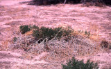 Select an image to enlarge
