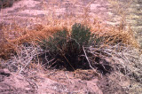 Select an image to enlarge
