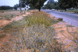 Select an image to enlarge