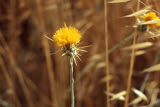 Select an image to enlarge