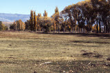Select an image to enlarge