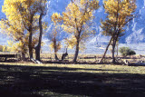 Select an image to enlarge