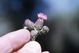 Select an image to enlarge