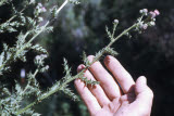Select an image to enlarge