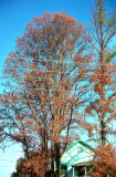 Select an image to enlarge