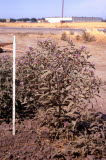 Select an image to enlarge