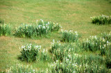 Select an image to enlarge