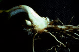 Select an image to enlarge
