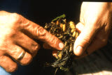 Select an image to enlarge
