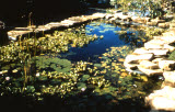 Select an image to enlarge
