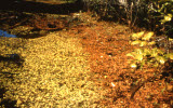 Select an image to enlarge