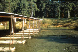 Select an image to enlarge