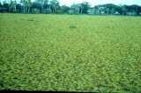 Select an image to enlarge