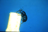 Select an image to enlarge