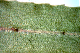 Select an image to enlarge