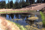 Select an image to enlarge