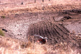 Select an image to enlarge