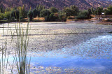 Select an image to enlarge