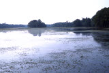 Select an image to enlarge