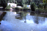 Select an image to enlarge