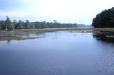 Select an image to enlarge