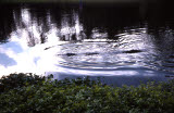 Select an image to enlarge