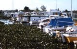 Select an image to enlarge