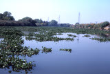 Select an image to enlarge