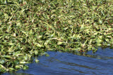 Select an image to enlarge