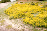 Select an image to enlarge