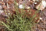 Select an image to enlarge