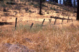 Select an image to enlarge