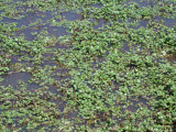 Select an image to enlarge