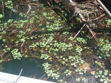 Select an image to enlarge