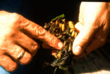 Select an image to enlarge