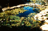 Select an image to enlarge