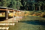 Select an image to enlarge