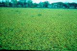 Select an image to enlarge