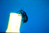 Select an image to enlarge