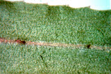 Select an image to enlarge