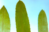 Select an image to enlarge