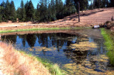 Select an image to enlarge