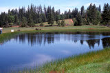 Select an image to enlarge