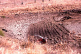 Select an image to enlarge